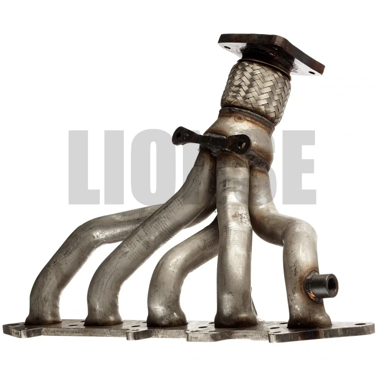 Altus perficientur immaculatam ferro exhauriunt ratio