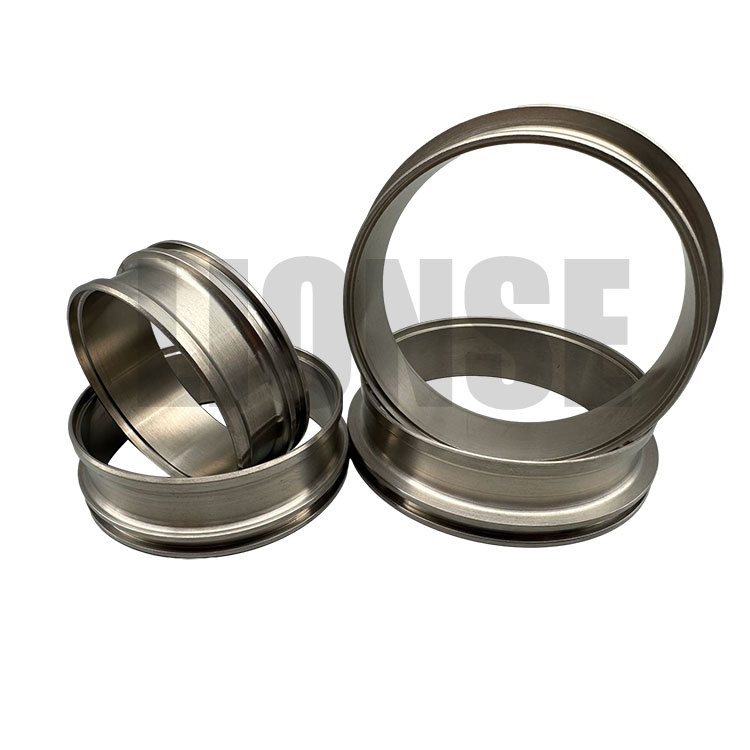 Titanium Flanges